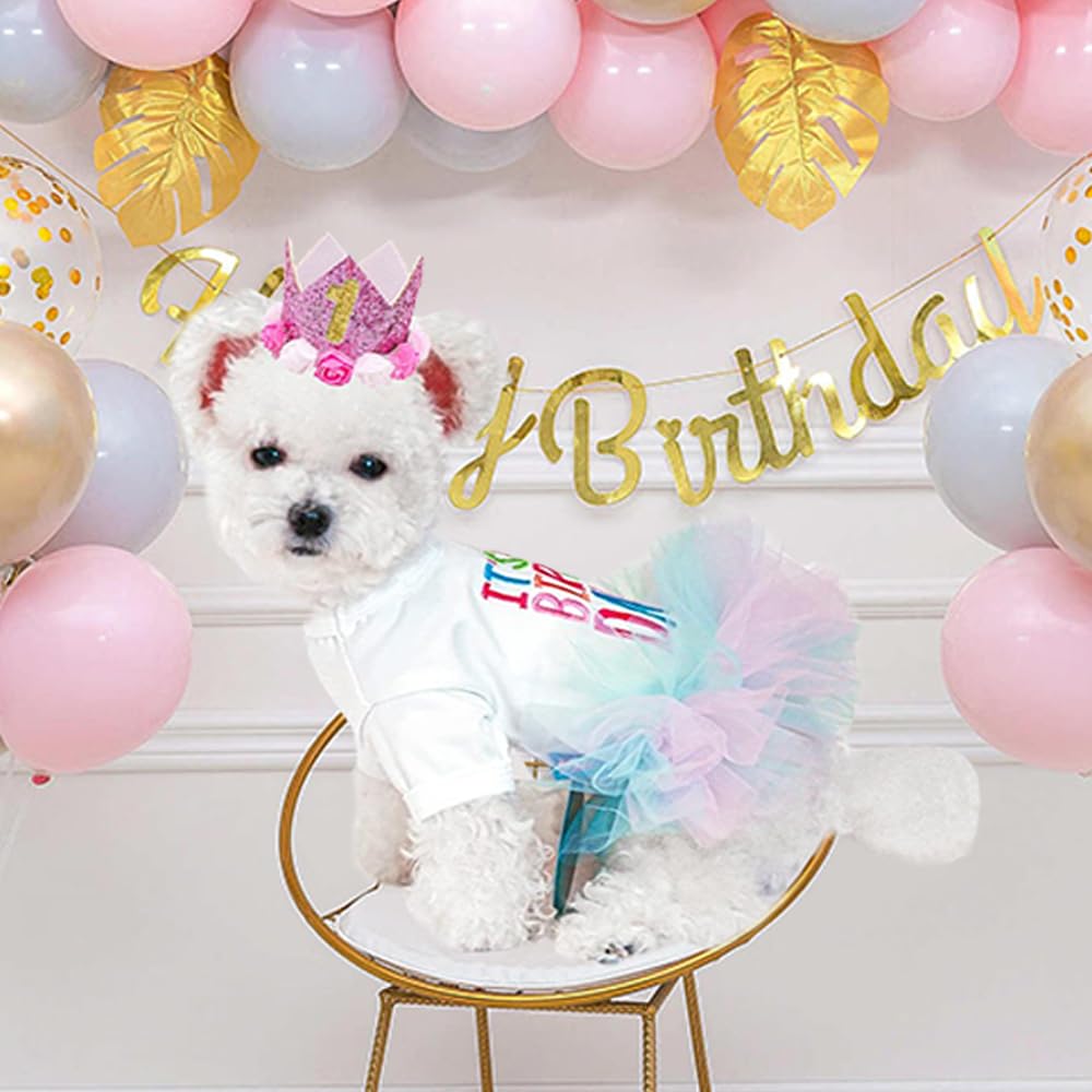 ANIAC dog birthday dress close-up showing the embroidered message and colorful tulle skirt.