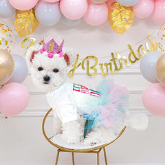 ANIAC dog birthday dress close-up showing the embroidered message and colorful tulle skirt.