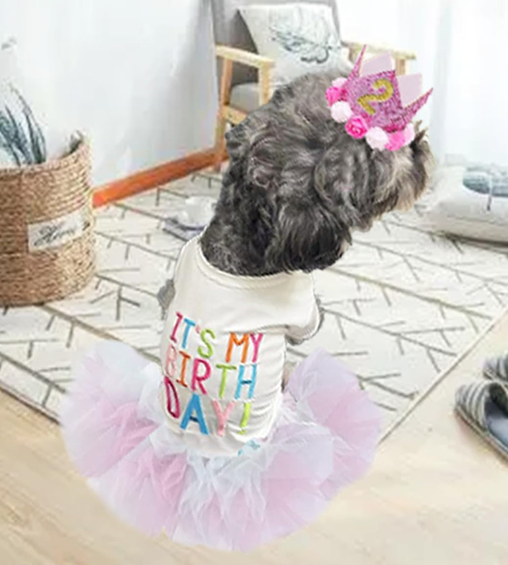 ANIAC dog birthday dress and crown hat shown together from a side angle.
