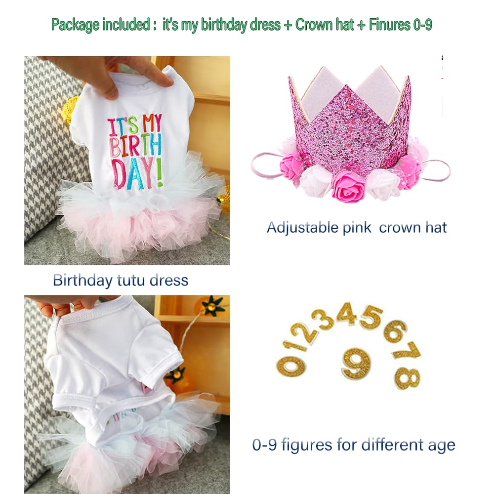 ANIAC dog birthday dress set with the golden age figures included for the crown.