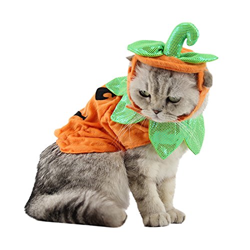 ANIAC pet pumpkin costume shown from the front with its matching hat and cape.