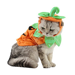 ANIAC pet pumpkin costume shown from the front with its matching hat and cape.