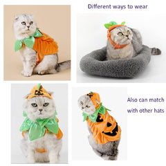 ANIAC pet pumpkin costume set showing the hat and matching cape together.
