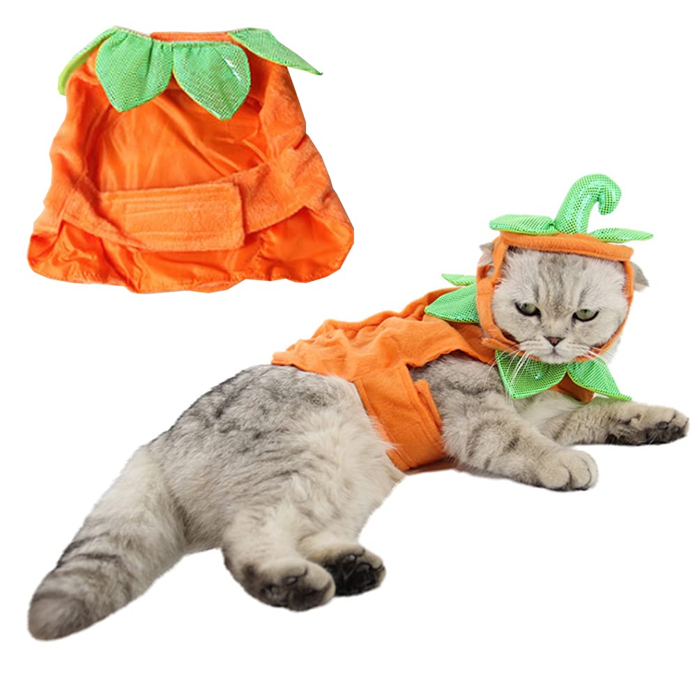 ANIAC pet pumpkin costume cape detail showing the adjustable strap closure.