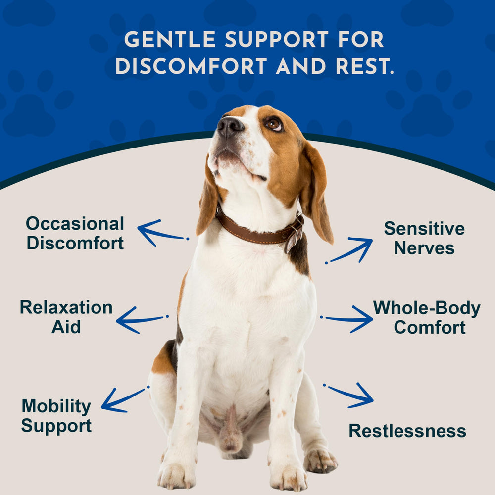 Animal Essentials Comfort Plus herbal tonic label shown for an ingredient view.
