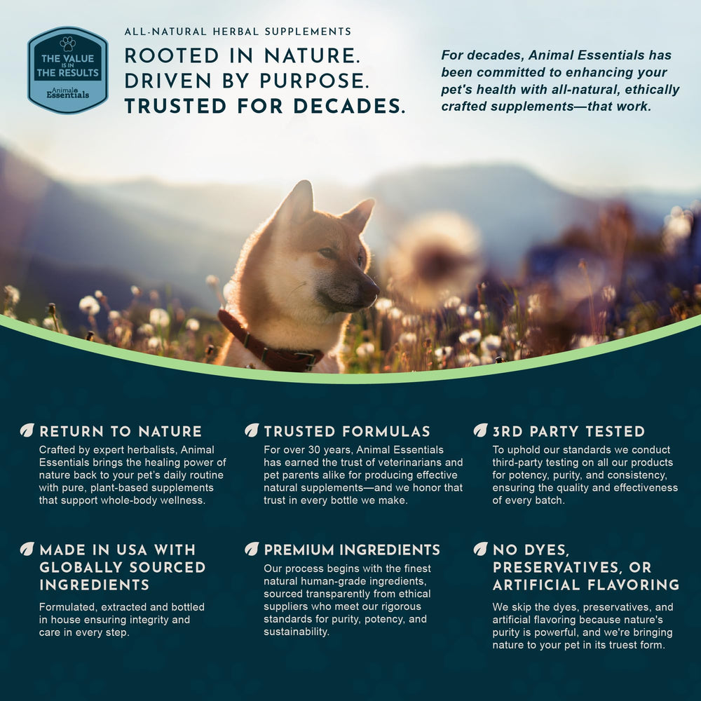 Animal Essentials Comfort Plus herbal tonic shown with its 1 fl oz size.