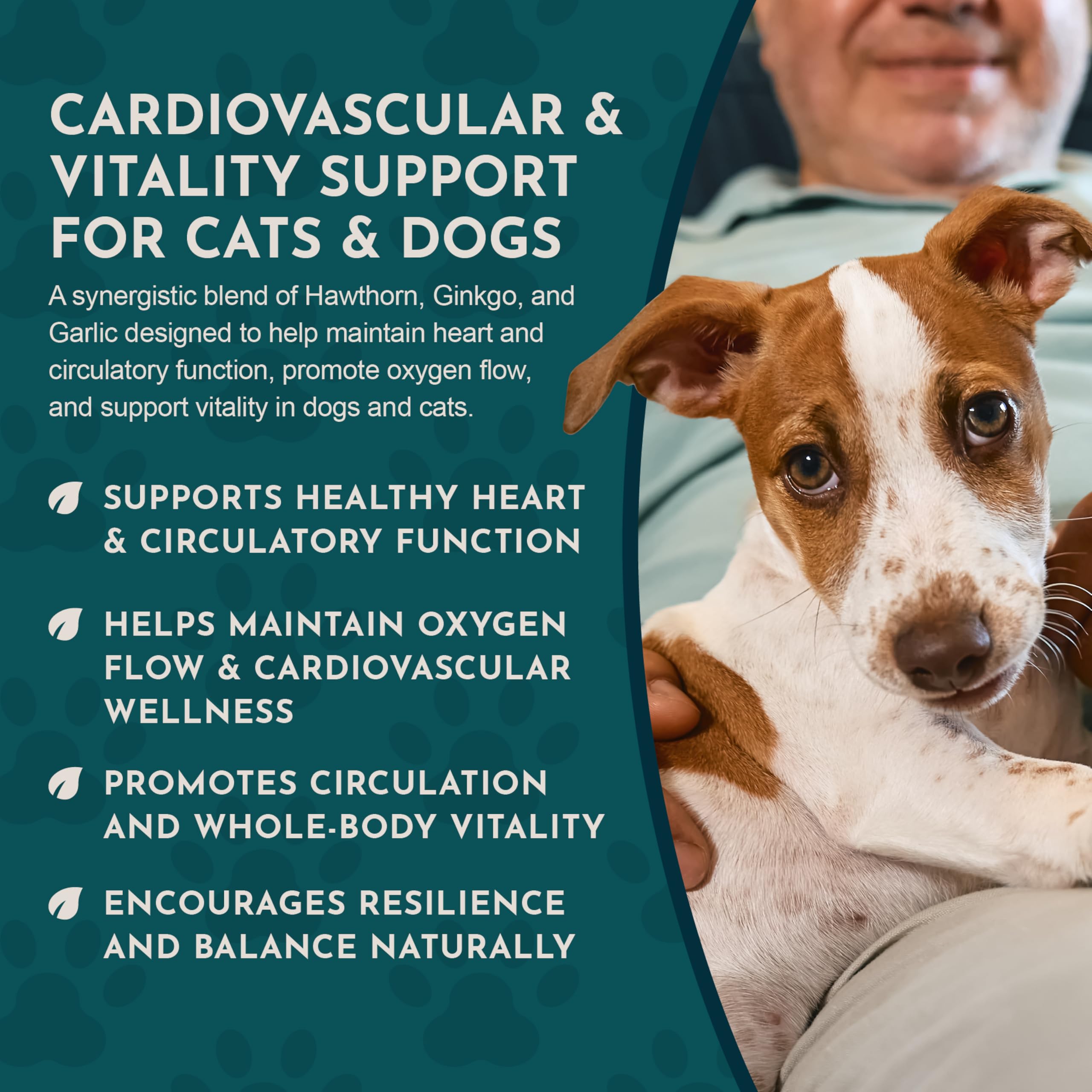 Animal Essentials Heart Health shown being administered to a dog by mouth.