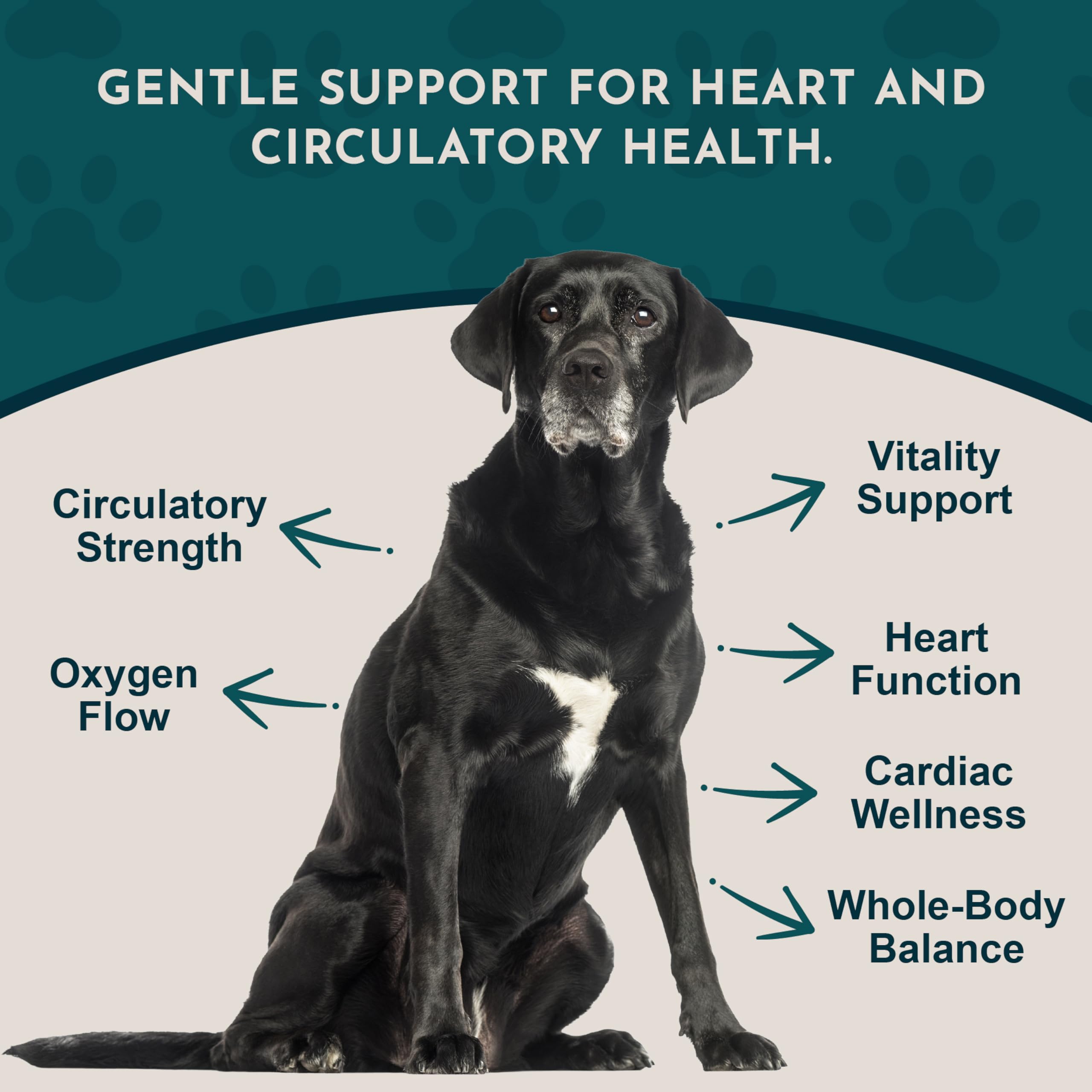 Animal Essentials Heart Health label detail shown close up.