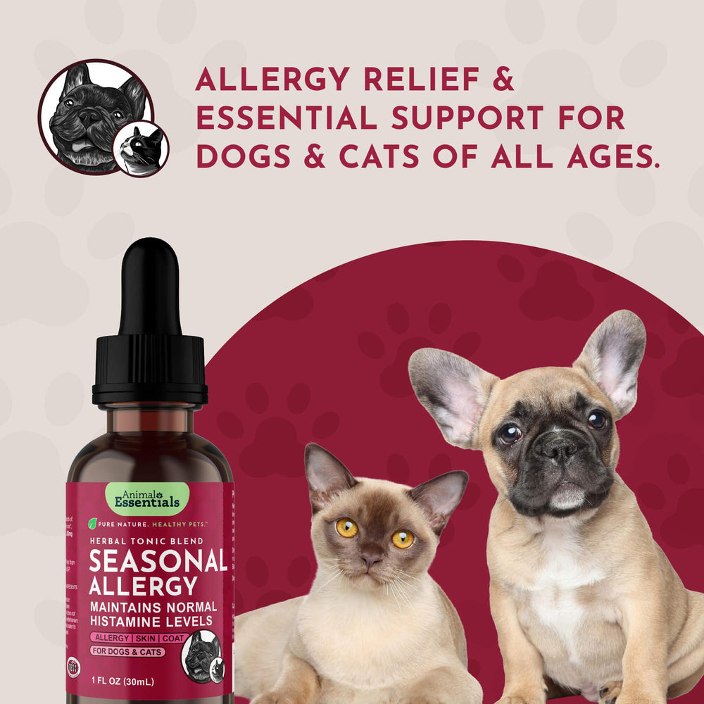 Animal Essentials Seasonal Allergy Treatment shown being given to a cat.