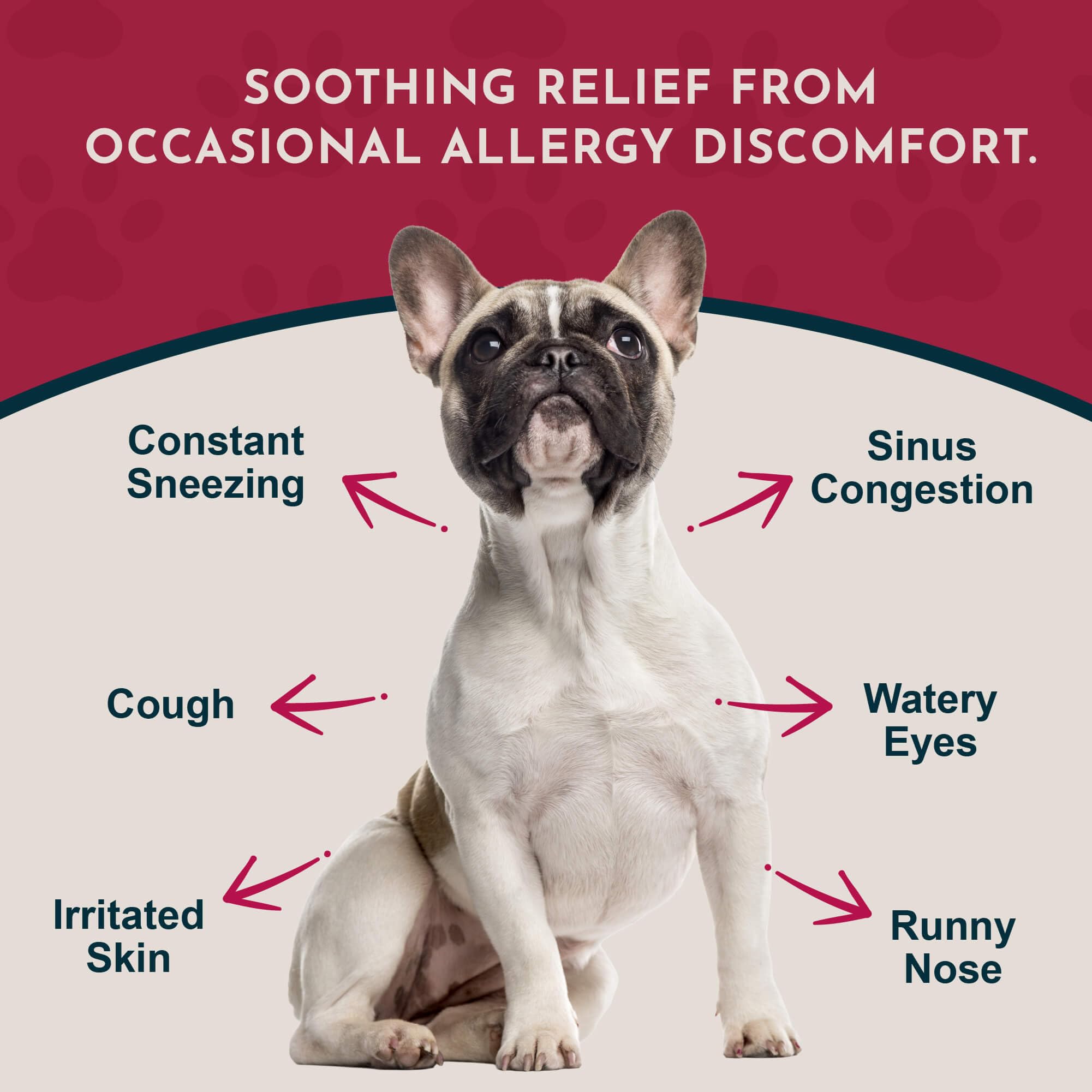 Animal Essentials Seasonal Allergy Treatment label shown in close detail.