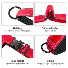Annchwool No-Pull Dog Harness showing the front leash clip.