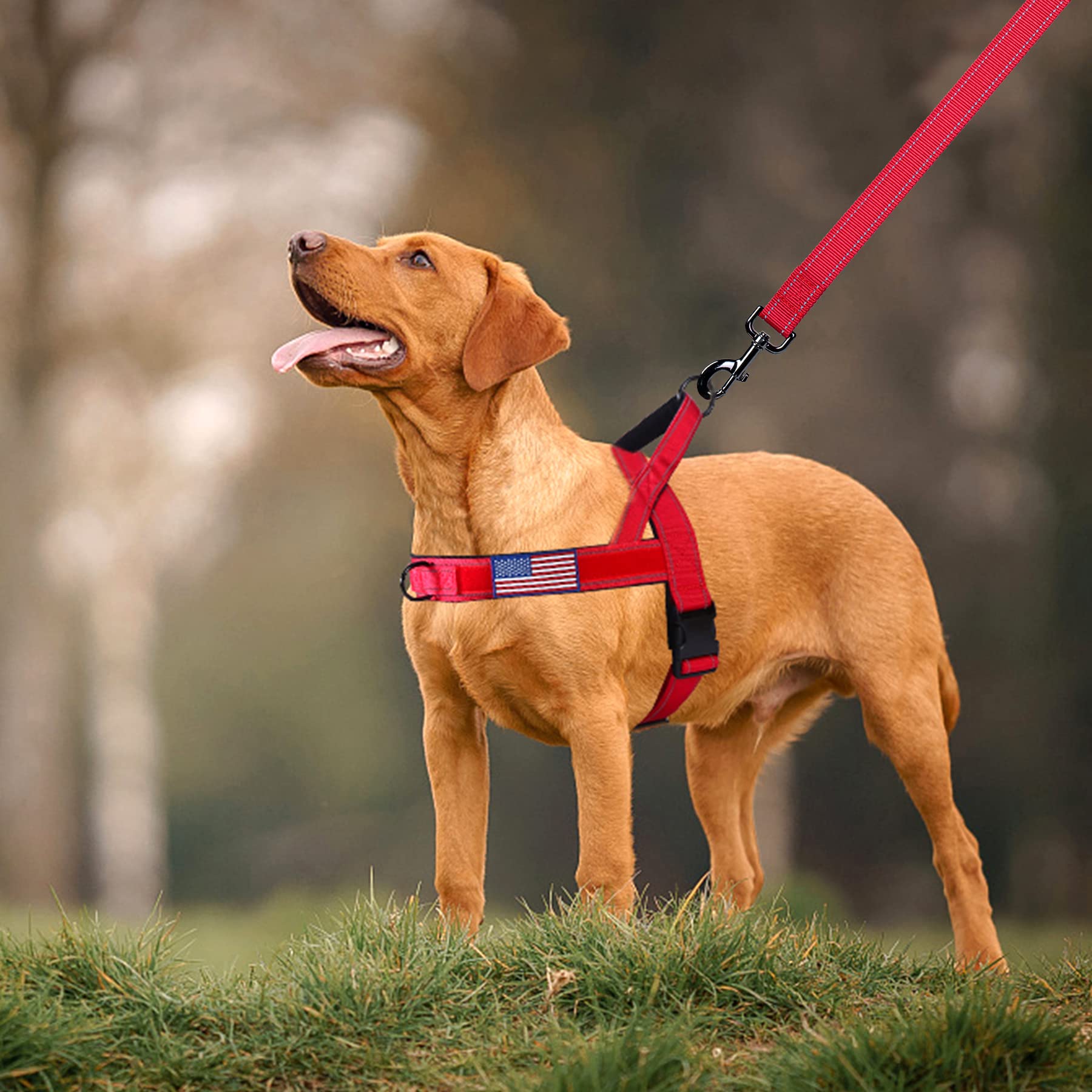 Annchwool No-Pull Dog Harness with its two included patches.