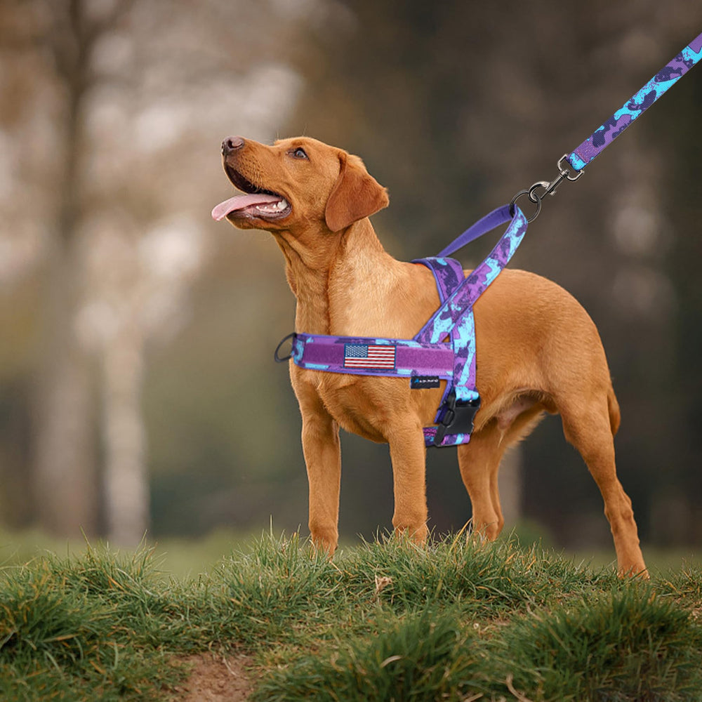 Annchwool dog harness showing the hook-and-loop patch area.