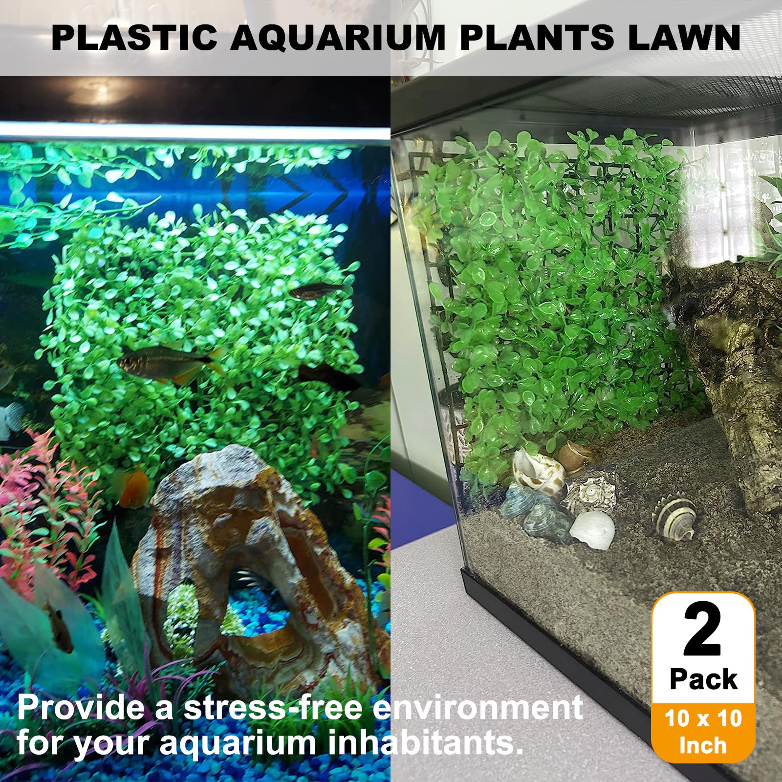 A hermit crab climbing on the artificial grass surface of an Anranmm turf mat.
