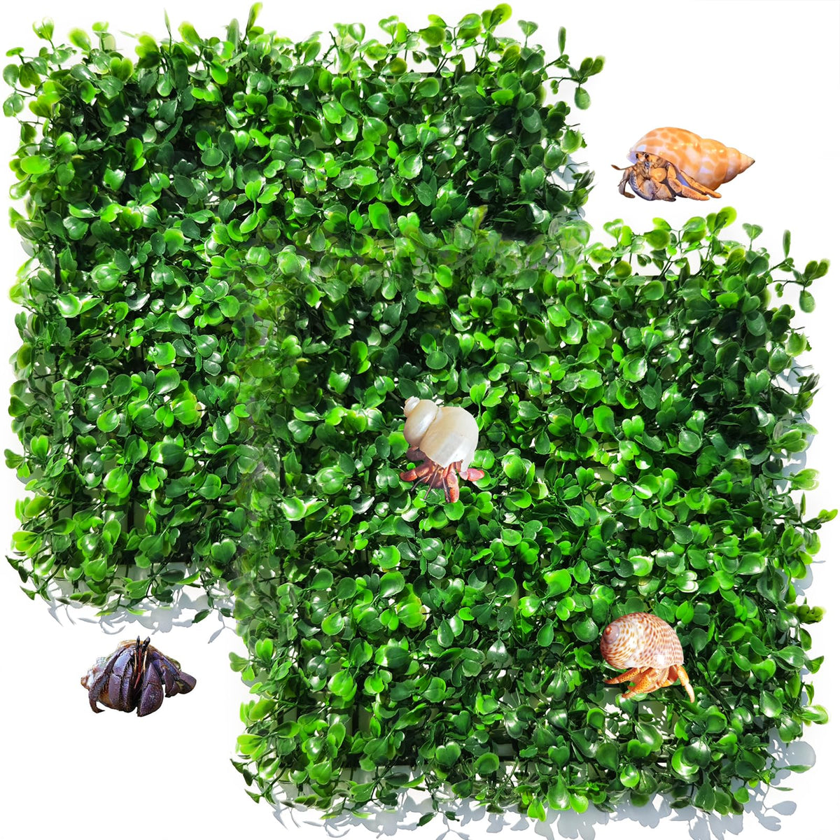 Anranmm hermit crab turf mat shown from the front with its green artificial grass surface.