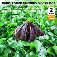 Close-up of the textured artificial grass on an Anranmm hermit crab turf mat.