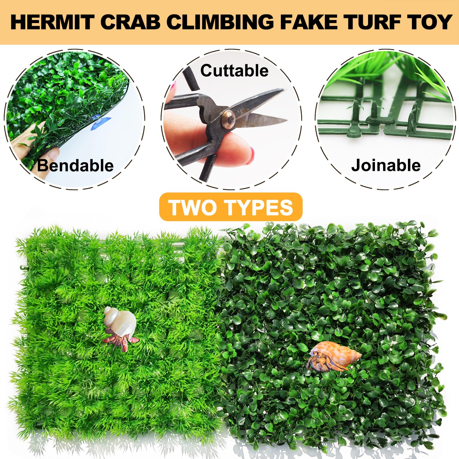 Anranmm hermit crab turf mat fixed vertically as a green habitat wall.