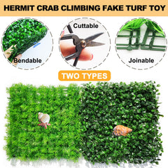 Anranmm hermit crab turf mat fixed vertically as a green habitat wall.
