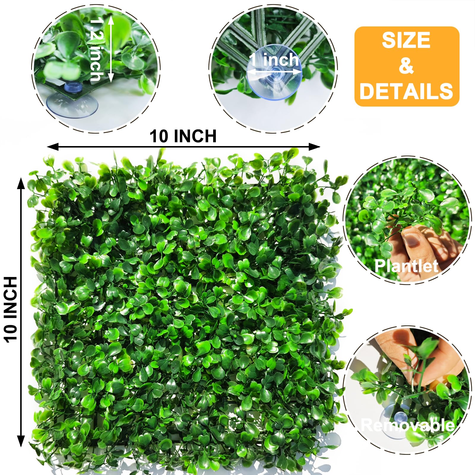 Suction cups supplied with the Anranmm hermit crab turf mat for habitat attachment.