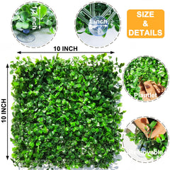 Suction cups supplied with the Anranmm hermit crab turf mat for habitat attachment.