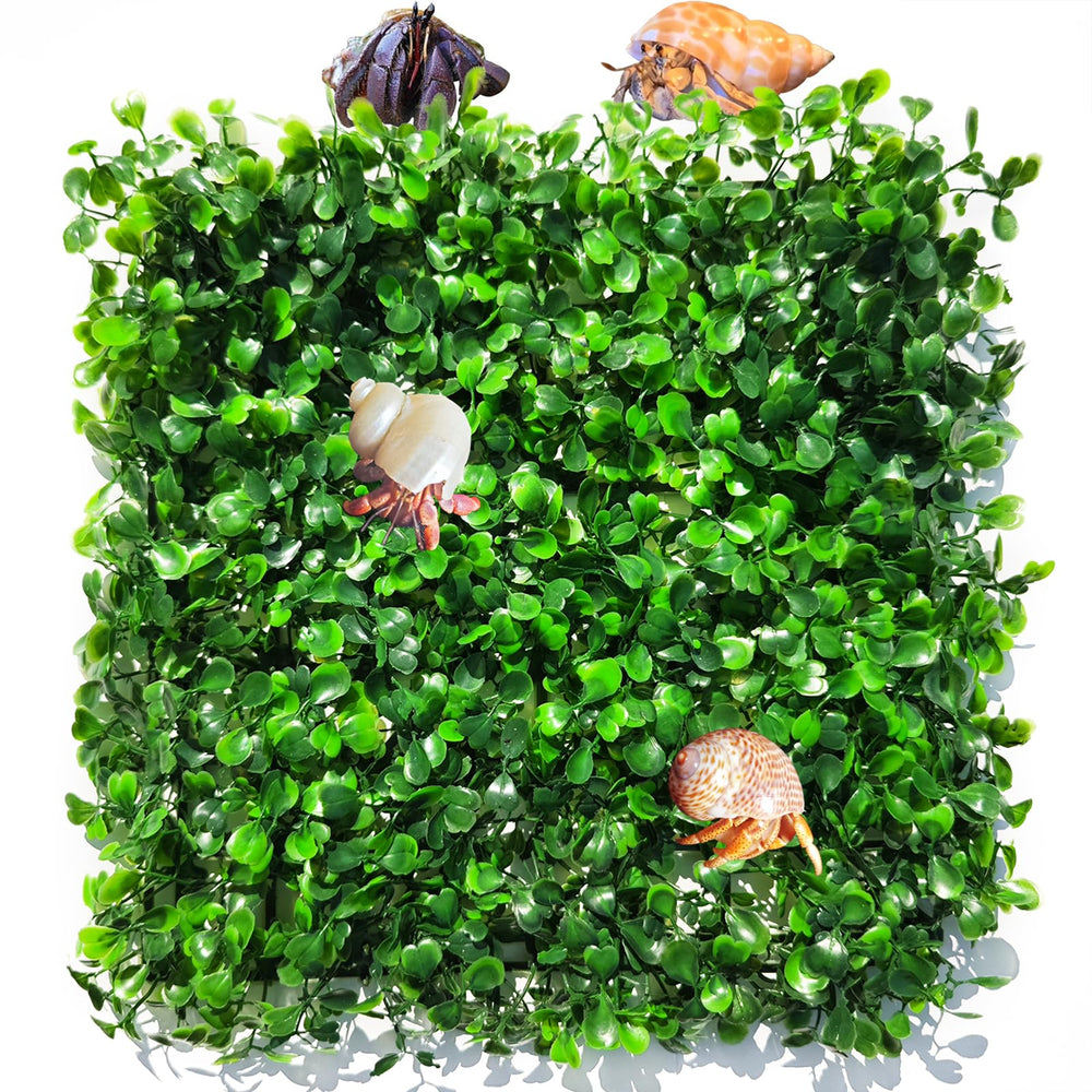Two Anranmm hermit crab turf mats shown together as a set.