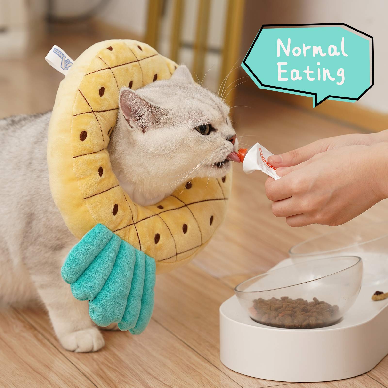 ANWA cat cone collar inner stretchy string shown for adjustable fitting.