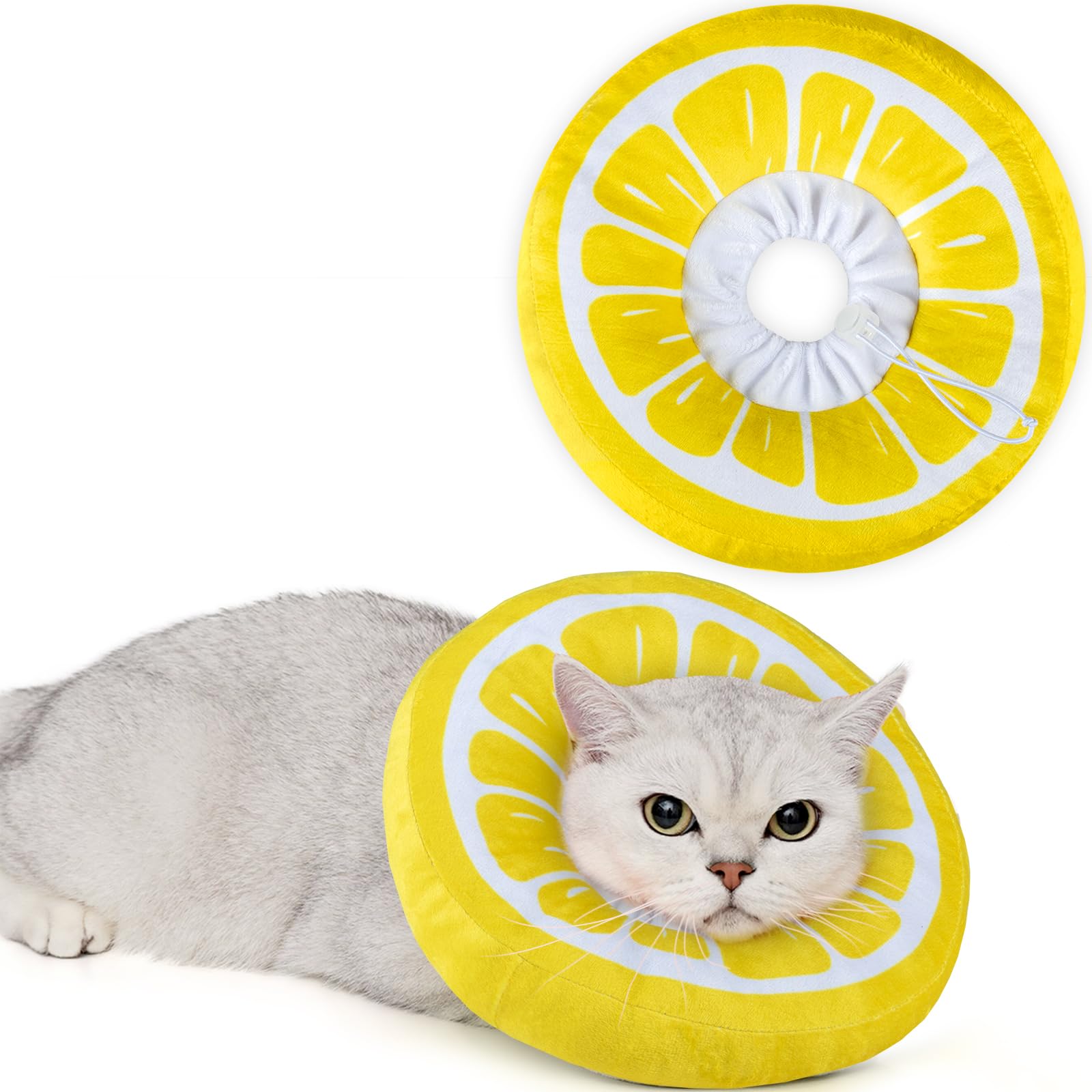 ANWA cat cone collar shown from the front in its soft donut shape.