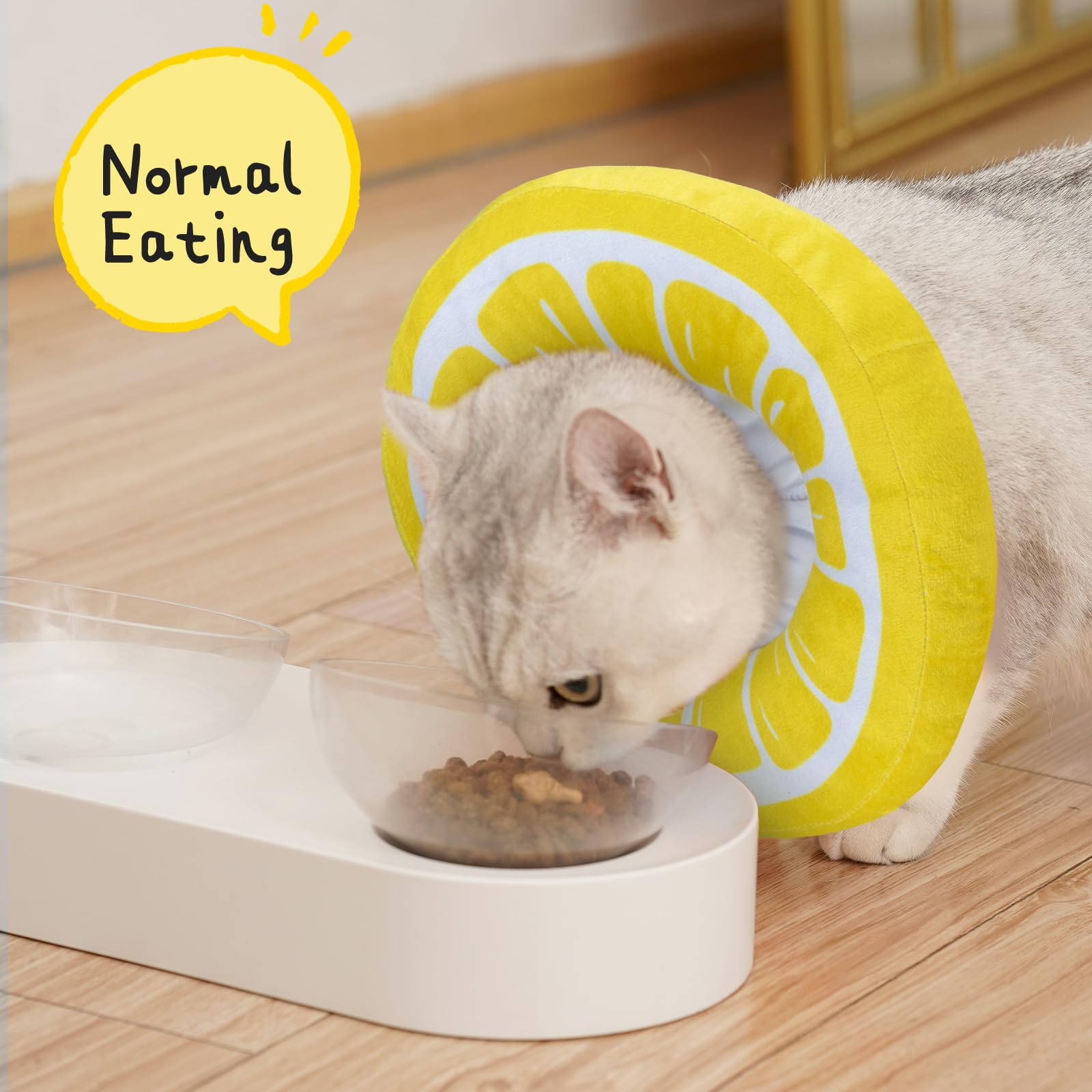 ANWA cat cone collar shown worn by a cat.