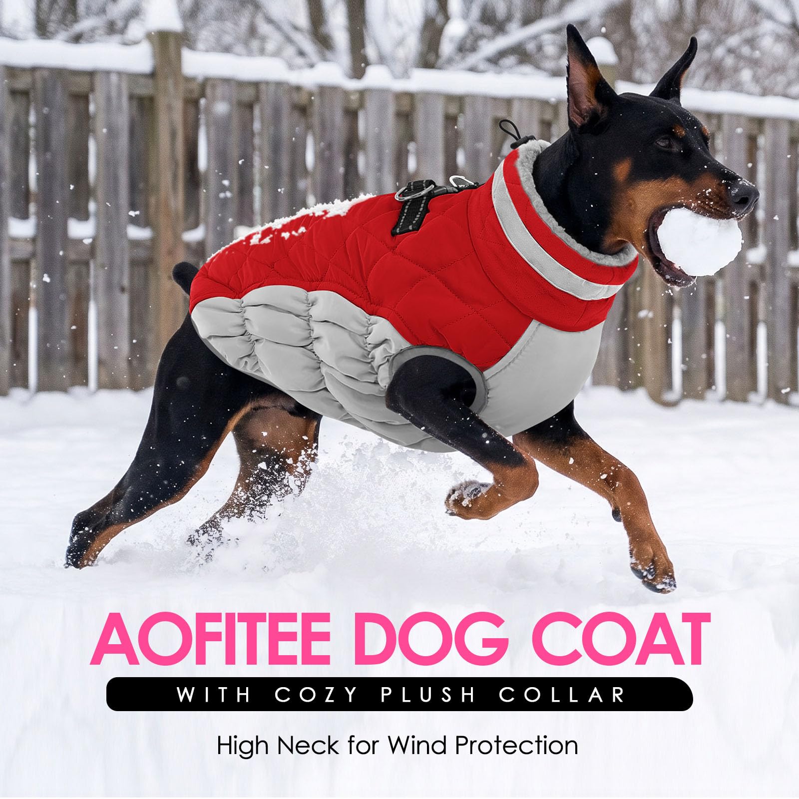 AOFITEE dog coat shown from the back, highlighting the zipper closure.