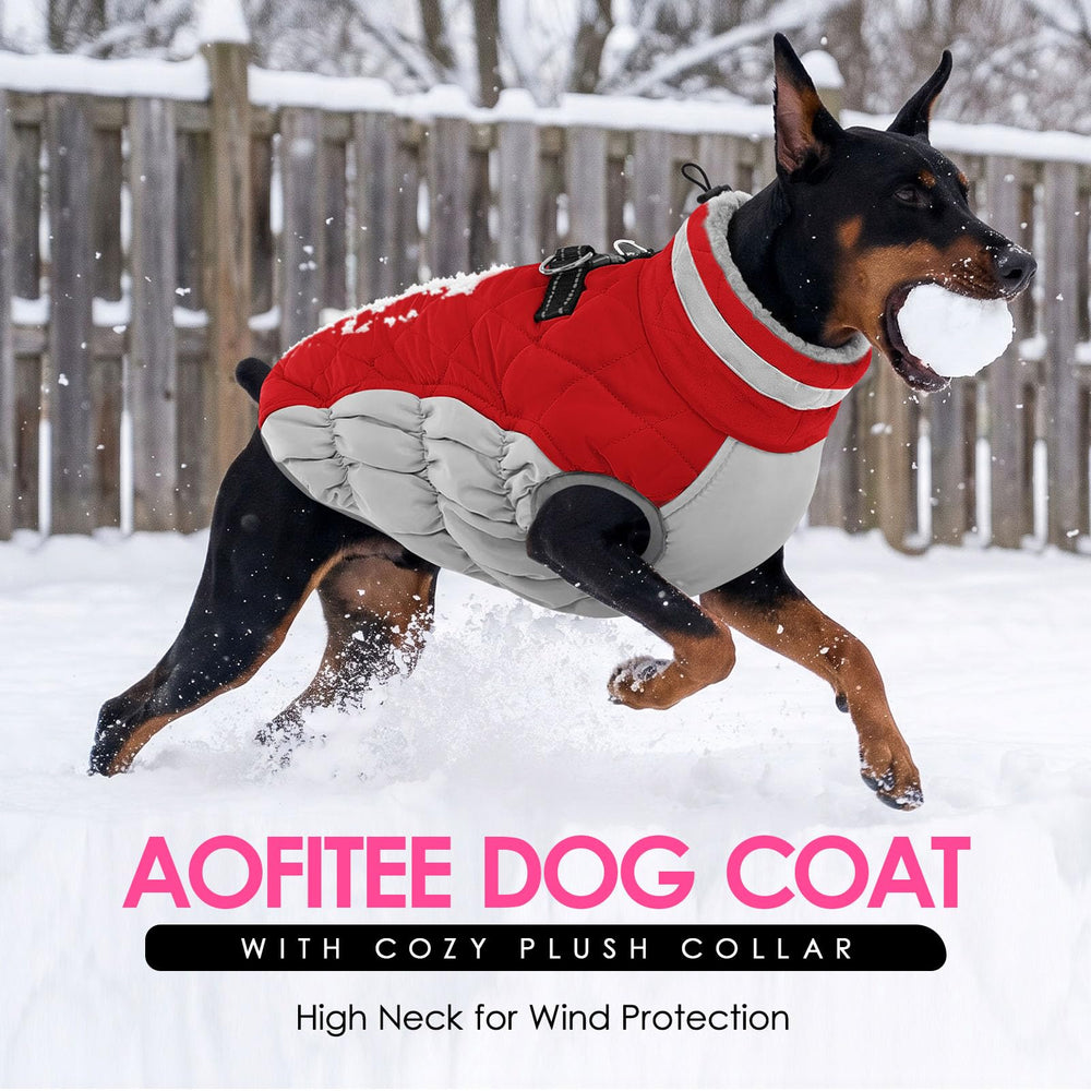 AOFITEE dog coat shown from the back, highlighting the zipper closure.