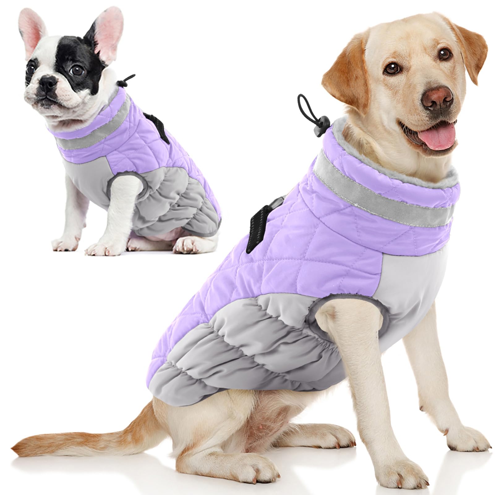 AOFITEE dog coat shown from the front, highlighting its winter design.