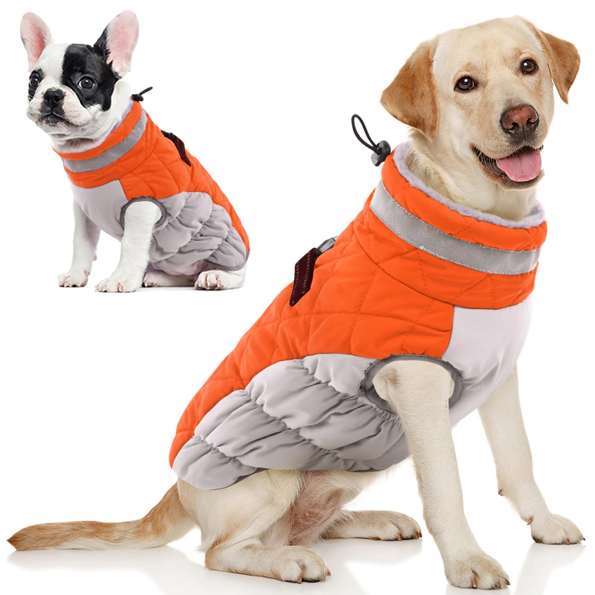 AOFITEE dog coat shown from the front.