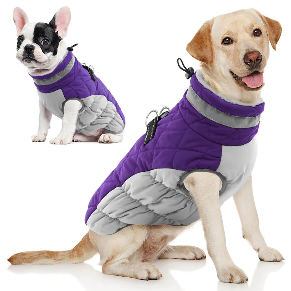 AOFITEE Dog Coat shown from the front with its winter jacket shape.