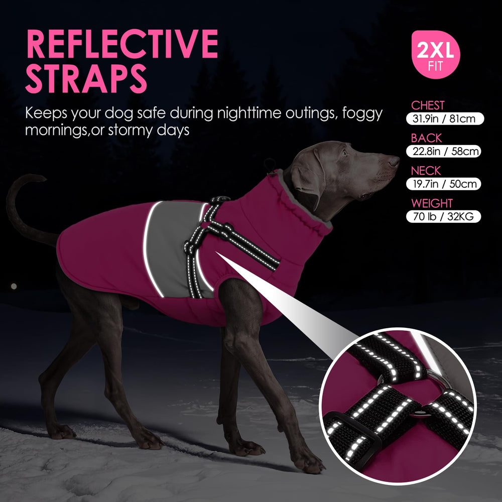 AOFITEE dog coat showing the built-in harness D-rings.