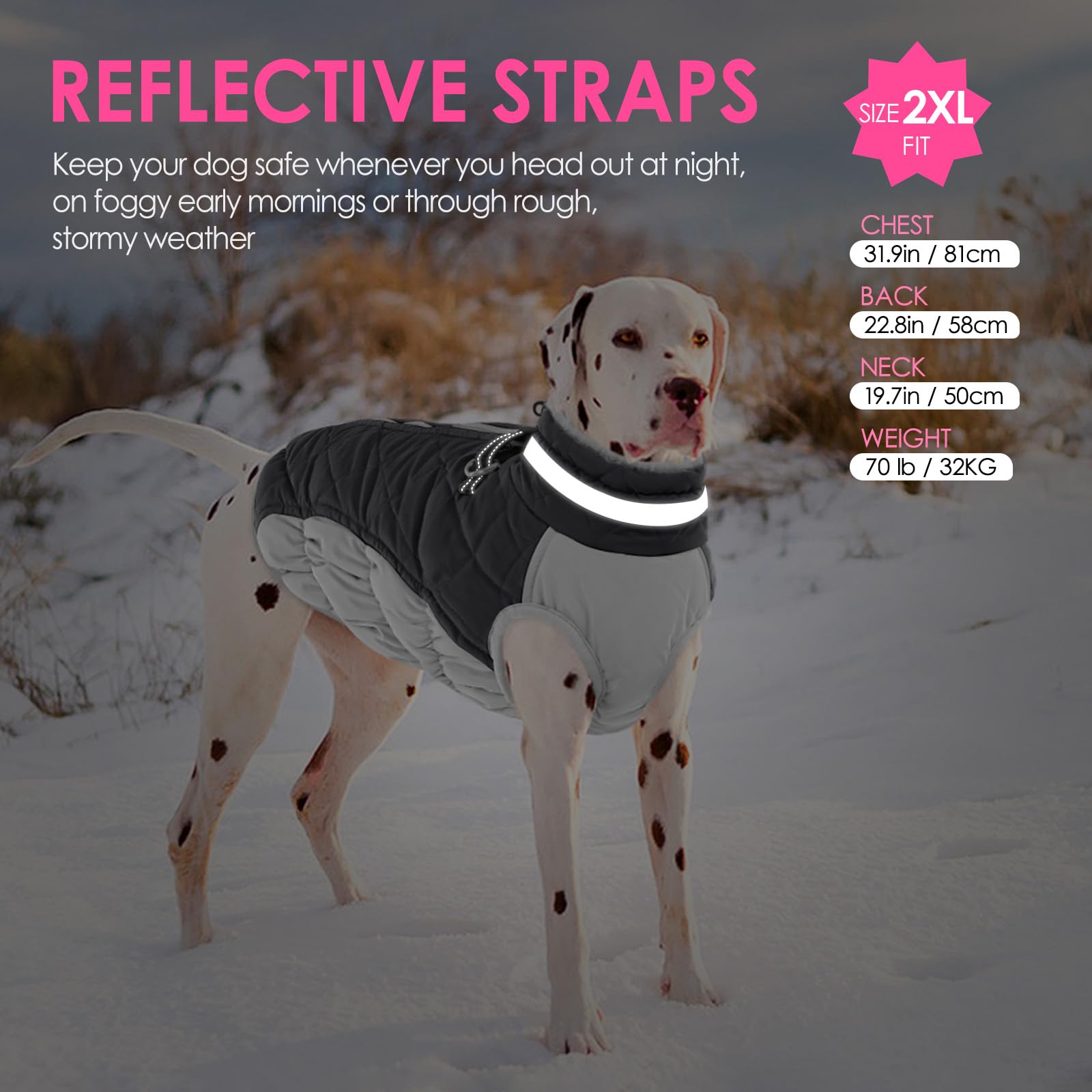 AOFITEE dog coat dual metal D-rings shown on the back for leash attachment.