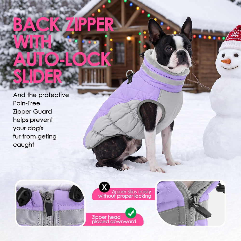 AOFITEE dog coat two metal leash D-rings shown on the back.