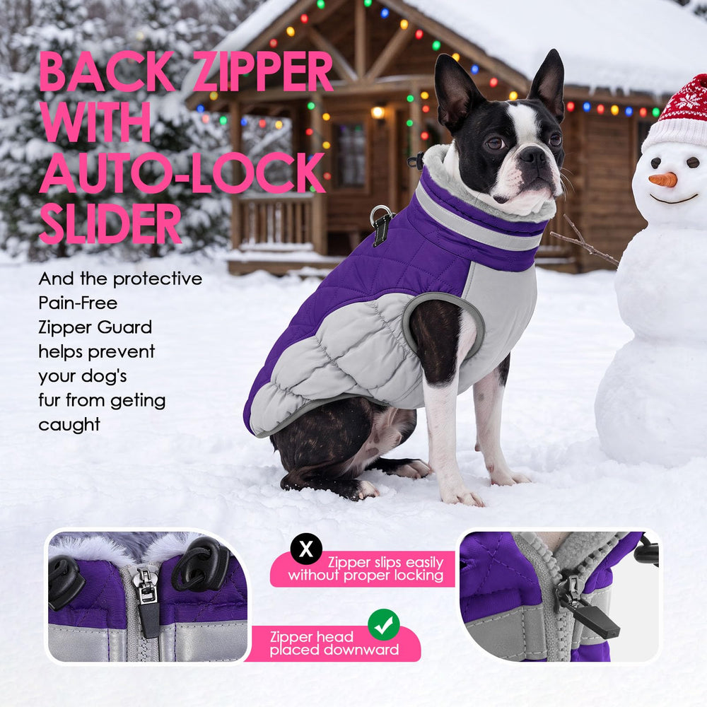 AOFITEE Dog Coat with its two back-mounted metal leash D-rings.