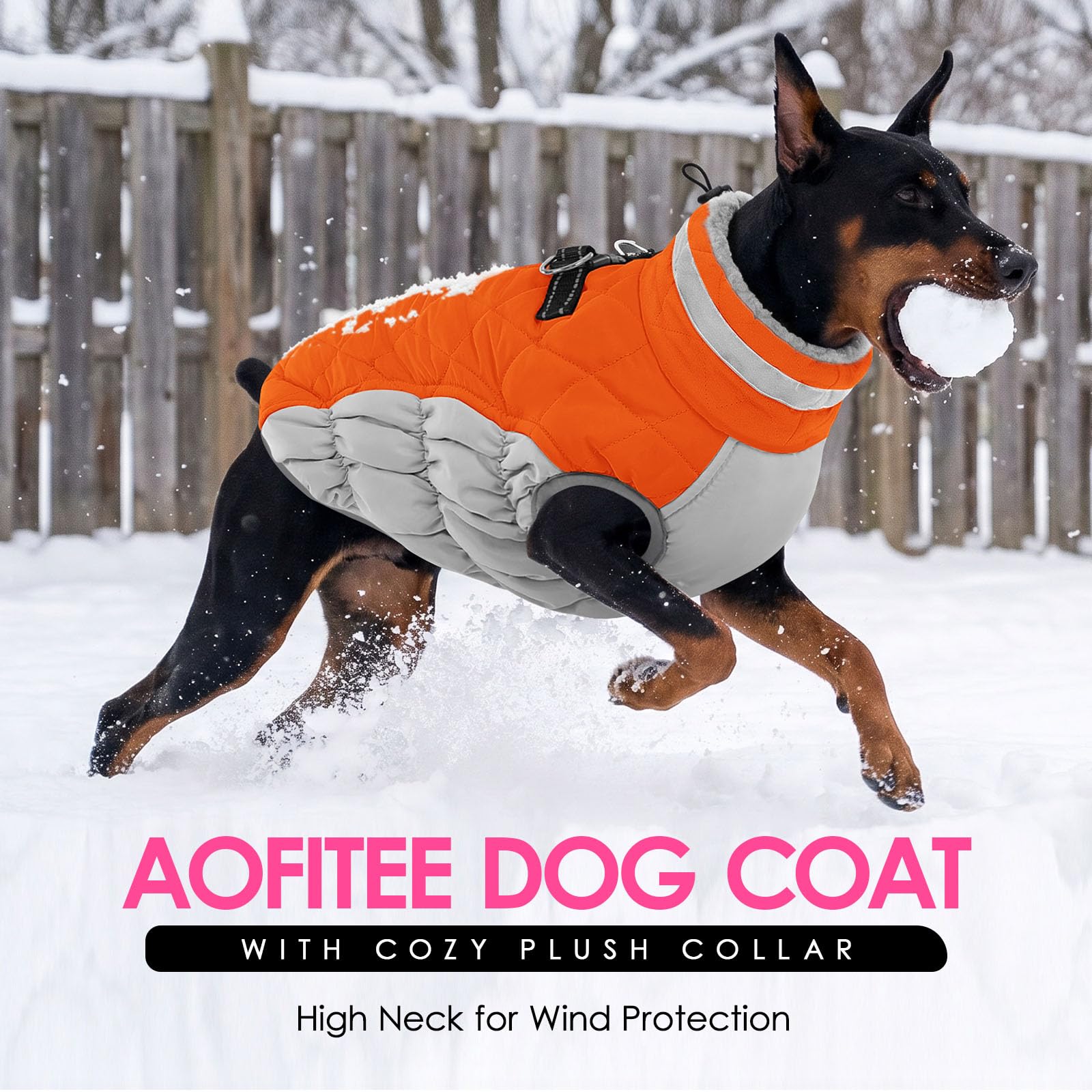 AOFITEE dog coat worn by a dog outdoors.