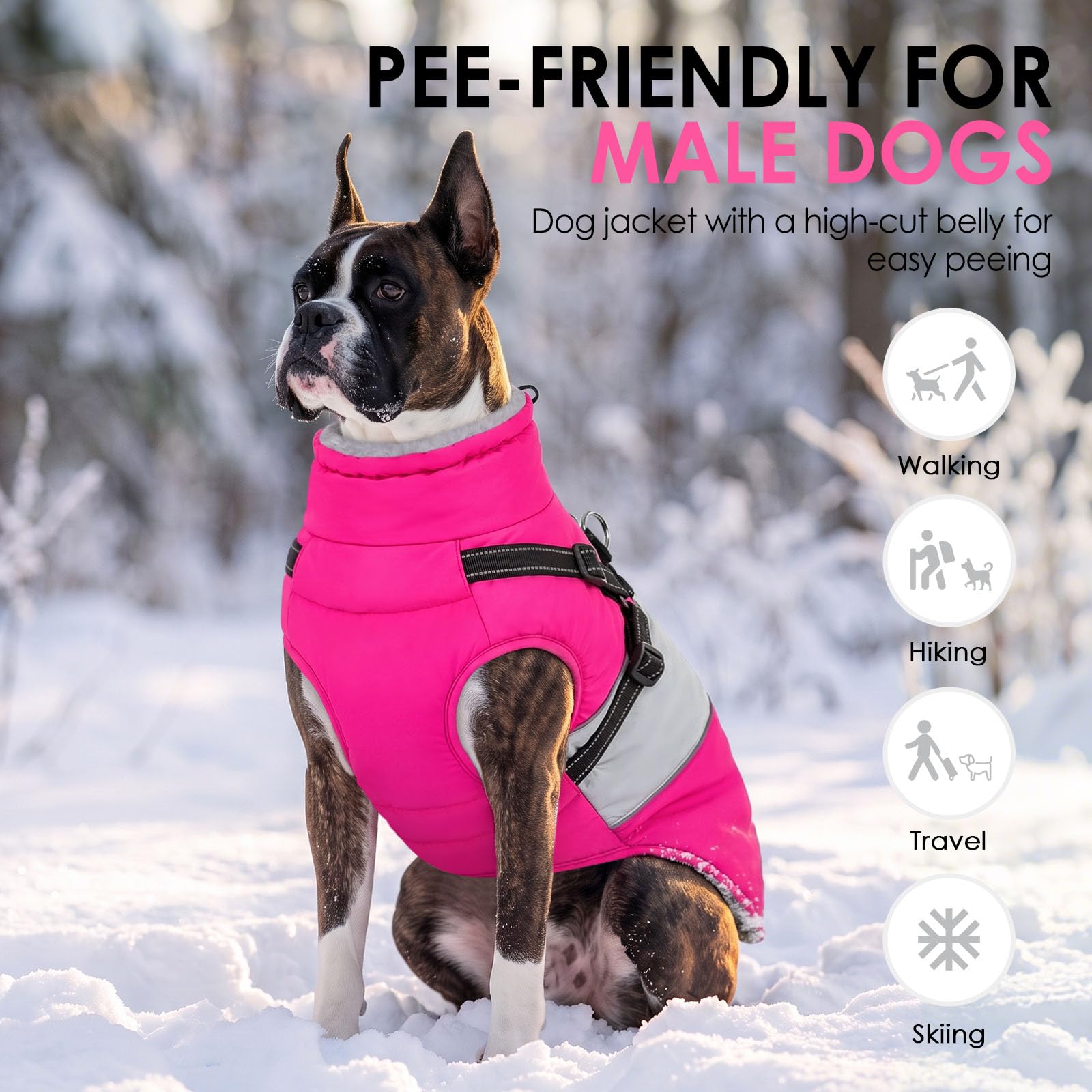 AOFITEE dog coat with reflective trim visible.