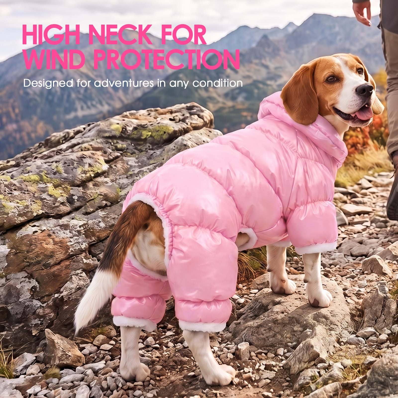 AOFITEE dog coat worn by a small dog.