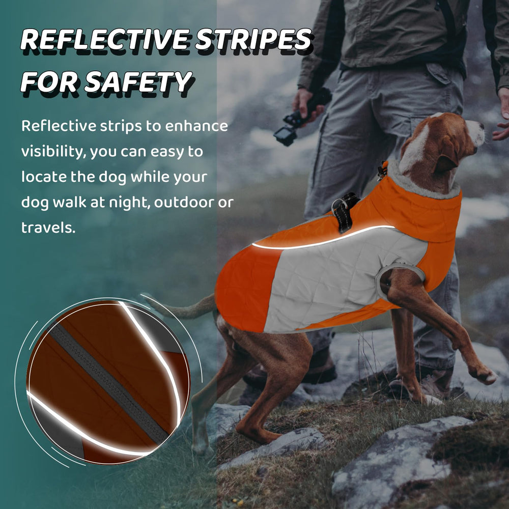 AOFITEE Dog Coat shown on a dog during an outdoor outing.