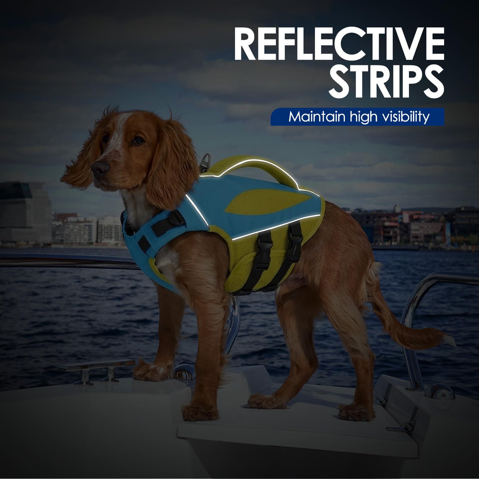 AOFITEE Dog Life Jacket metal D-ring leash attachment.