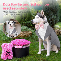 AOFITEE dog tuxedo bandana collar shown with its removable bowtie.