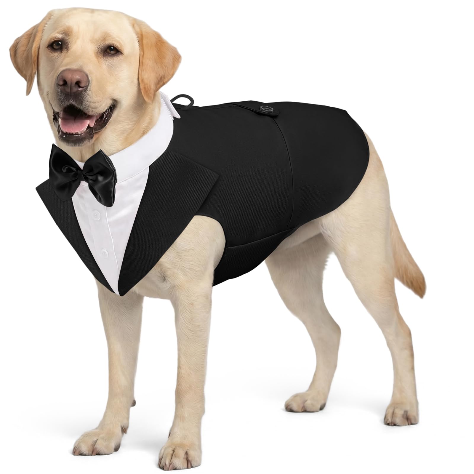 AOFITEE Dog Tuxedo shown from the front with its formal shirt and bandana collar.