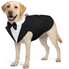 AOFITEE Dog Tuxedo shown from the front with its formal shirt and bandana collar.