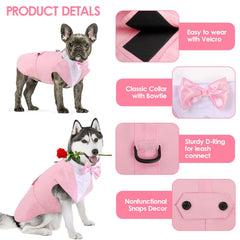 AOFITEE dog tuxedo bandana showing its removable bowtie.