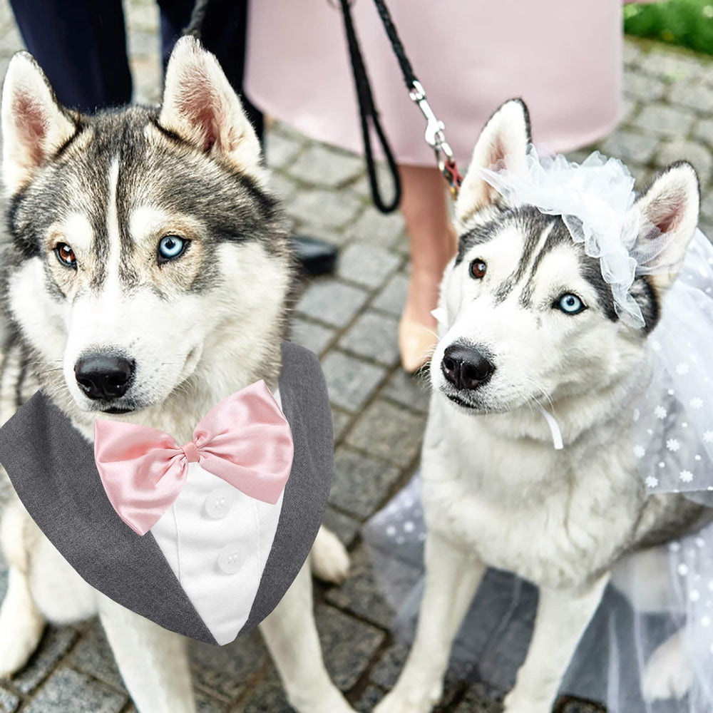 AOFITEE dog tuxedo shirt and bandana collar shown as a two-piece set.