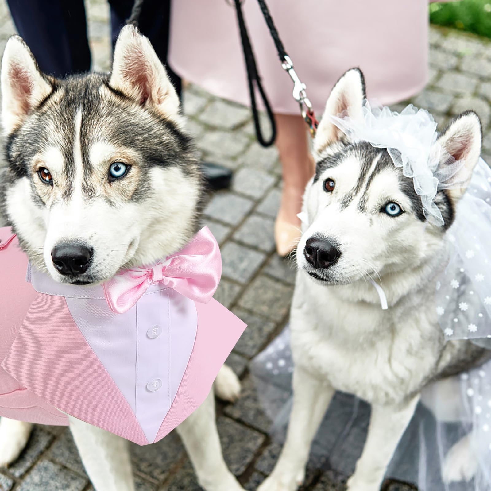 AOFITEE dog tuxedo worn by a dog for a formal occasion.