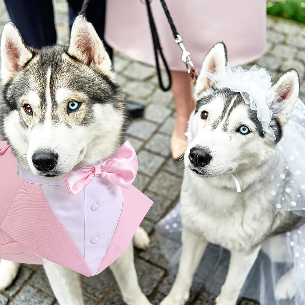 AOFITEE dog tuxedo worn by a dog for a formal occasion.