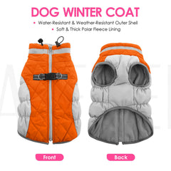 AOFITEE dog winter coat worn by a dog during an outdoor outing.